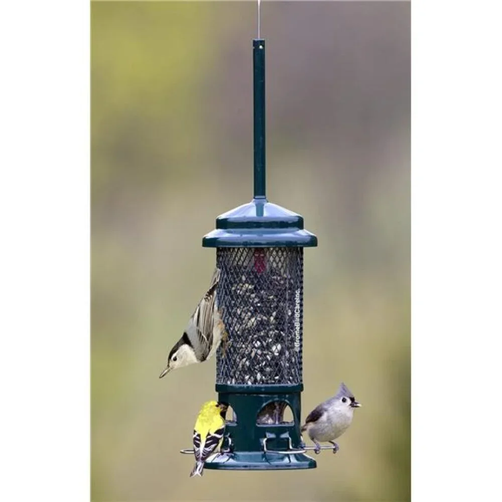 Squirrel Buster Standard Squirrel-proof Bird Feeder w/4 Metal Perches, 1.3-pound